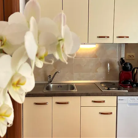 Apartment Tomi & Ivana Trogir